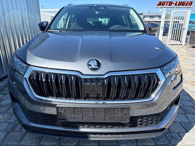 Skoda / Karoq / Grau / / / , Beispielbilder, ggf. teilweise mit Sonderausstattung