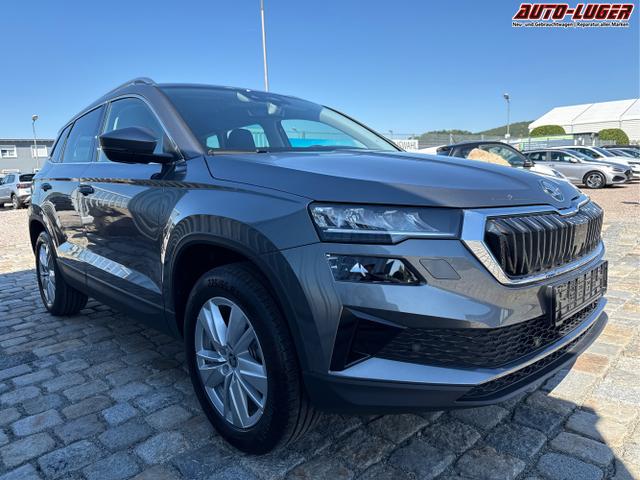 Skoda / Karoq / Grau / / / , Beispielbilder, ggf. teilweise mit Sonderausstattung