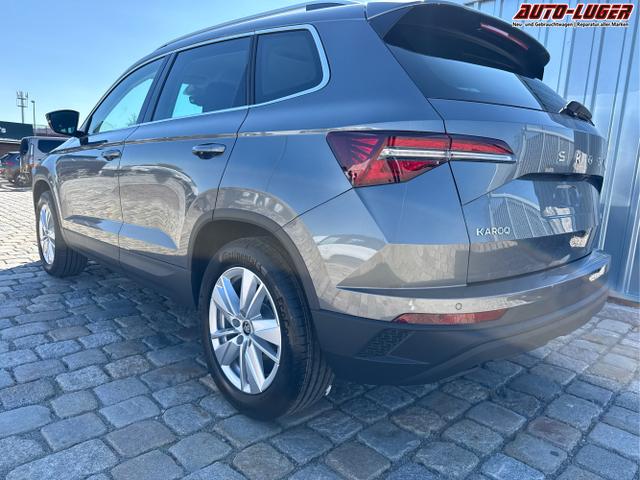 Skoda / Karoq / Grau / / / , Beispielbilder, ggf. teilweise mit Sonderausstattung