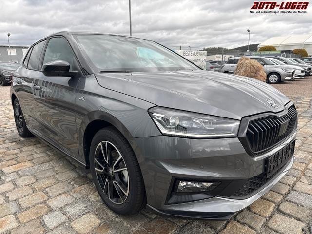 Skoda / Fabia / Grau / / / 
