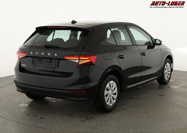 Skoda Fabia Selection 1.0 TSI Selection, Tempomat, Park, Winterpaket, SmartLink, 4-J Garantie 