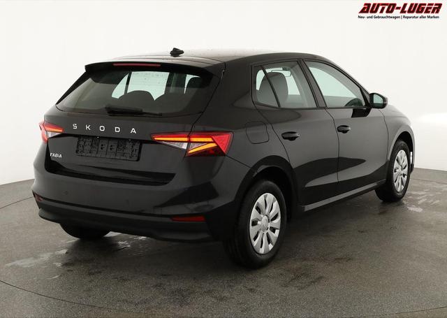 Skoda Fabia Selection 1.0 TSI Selection, Tempomat, Ladeboden, Park, Winterpaket, SmartLink, 4-J Garantie 