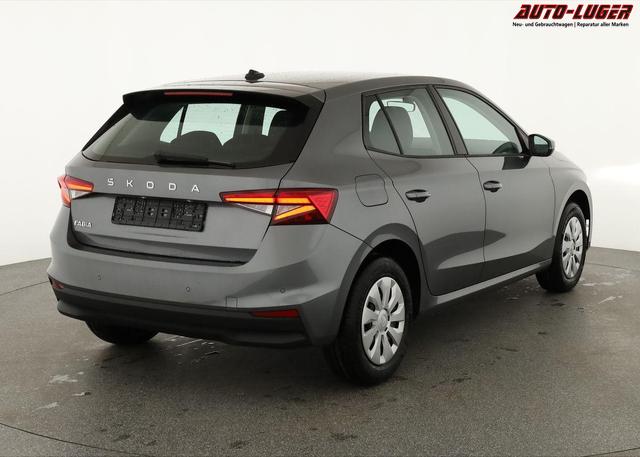 Skoda Fabia Selection 1.0 TSI Selection, Tempomat, Ladeboden, Park, Winterpaket, SmartLink, 4-J Garantie 