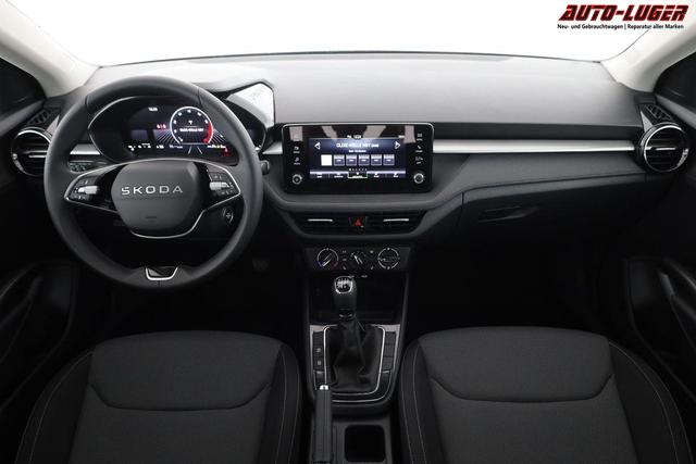 Skoda Fabia Selection 1.0 TSI Selection, Tempomat, Park, Winterpaket, SmartLink, 4-J Garantie 