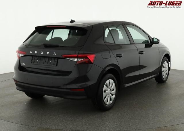 Skoda Fabia Selection 1.0 TSI Selection, Park, Winterpaket, SmartLink, 4-J Garantie 