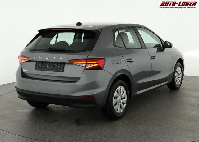 Skoda Fabia Selection 1.0 TSI Selection, Park, Winterpaket, SmartLink, 4-J Garantie 