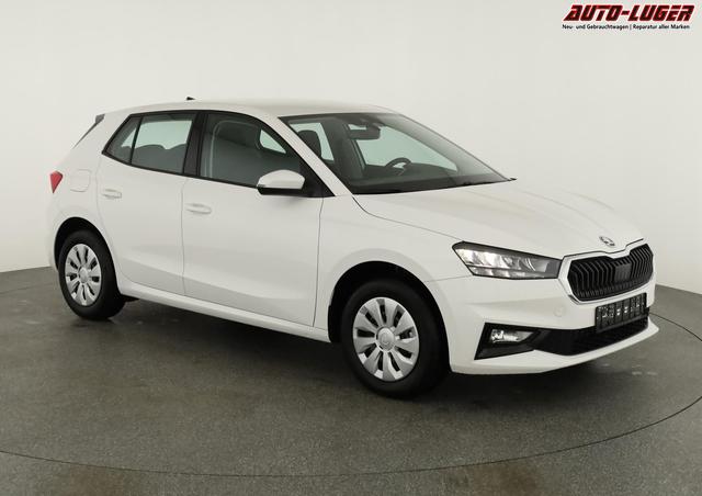 Skoda Fabia Selection 1.0 TSI Selection, Ladeboden, Park, Winterpaket, SmartLink, 4-J Garantie 