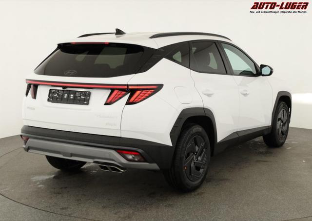 Hyundai TUCSON Plug-In Hybrid 2WD 1.6 T-GDI PHEV, Navi, Kamera, Side, Winter 