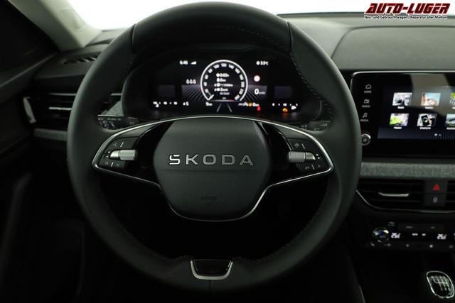 Skoda Kamiq Selection 1.5 TSI Selection, AHK, LED, Kamera, Ladeboden, Winter, 16-Zoll 