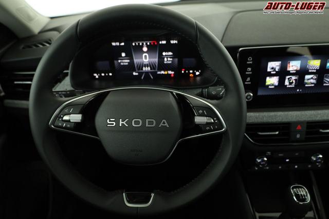 Skoda Kamiq Selection 1.5 TSI Selection, AHK, LED, Kamera, Ladeboden, Winter, 16-Zoll 