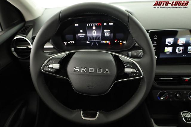 Skoda Fabia Selection 1.0 TSI Selection, Ladeboden, Park, Winterpaket, SmartLink, 4 J.-Garantie 