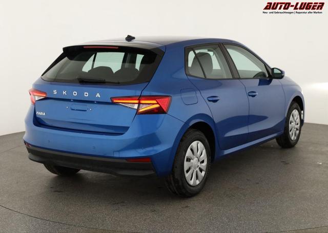 Skoda Fabia Selection 1.0 TSI Selection, Ladeboden, Park, Winterpaket, SmartLink, 4 J.-Garantie 