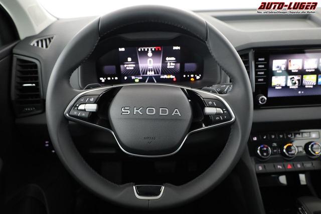Skoda Karoq Selection 4x4 2.0 TDI DSG Selection, AHK, LED, Kamera, Winter, 4 J.-Garantie 