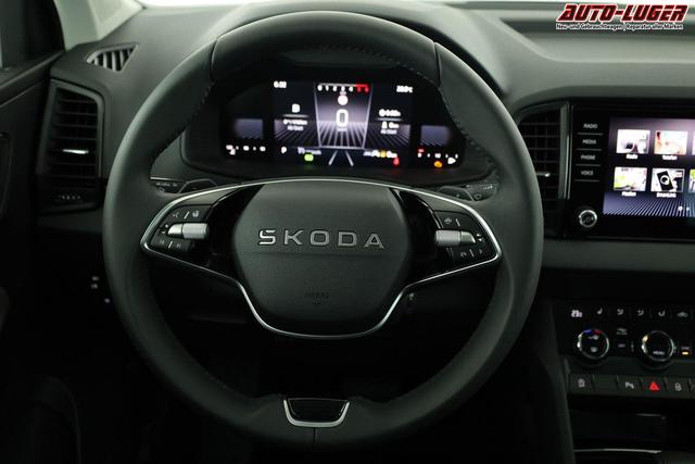 Skoda Karoq Selection 4x4 2.0 TDI DSG Selection, AHK, LED, Kamera, Winter, 4 J.-Garantie 