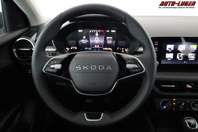 Skoda Fabia Selection 1.0 TSI Selection, Park, Winterpaket, SmartLink, 4 J.-Garantie 