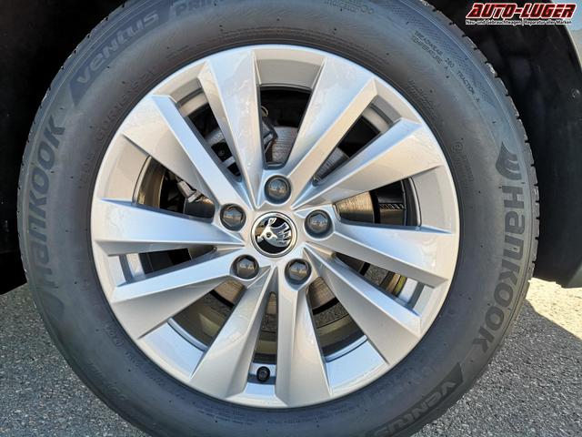 Skoda Octavia Combi 2.0 TDI 110 kW Selection Kombi DSG AHK Navi GV5 