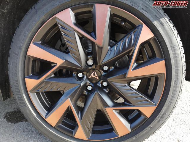 Cupra Formentor VZ 2.0 TSI 245 kW 4Drive 2.0TSI DSG Matrix AHK Pano Navi 360 