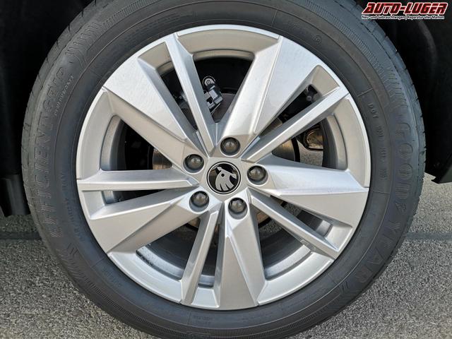 Skoda Karoq Selection 2.0 TDI DSG GV5 AHK 17 Ladeb 