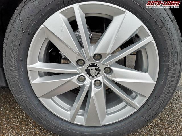 Skoda Karoq Selection 2.0 TDI DSG GV5 AHK 17 Ladeb 