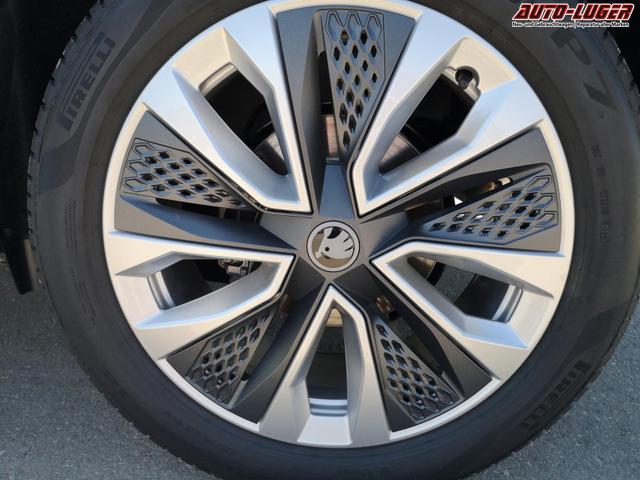 Skoda Karoq Selection 2.0 TDI DSG 4x4 GV5 AHK 18 Ladeb 