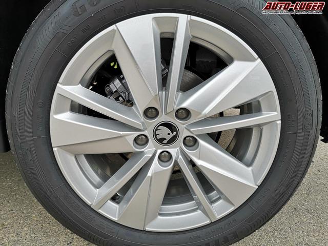 Skoda Karoq Selection 2.0 TDI DSG GV5 AHK 17 