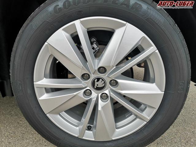 Skoda Karoq Selection 1.5 TSI DSG ABT GV5 AHK 17 Ladeb 