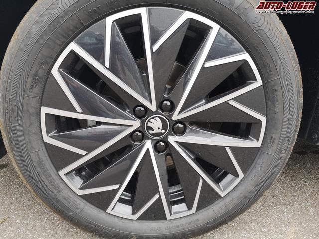 Skoda Kamiq Selection 1.0 TSI DSG 17 Zoll Sunset Kamera PDC v+h 