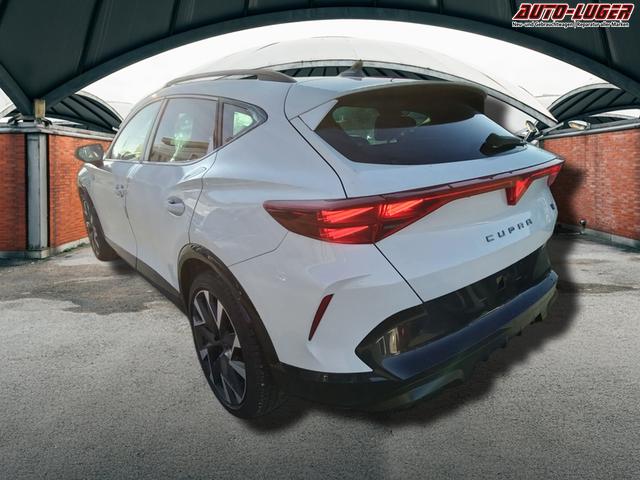 Cupra Formentor VZ 2.0 TSI 7-Gang-DSG 4Drive 