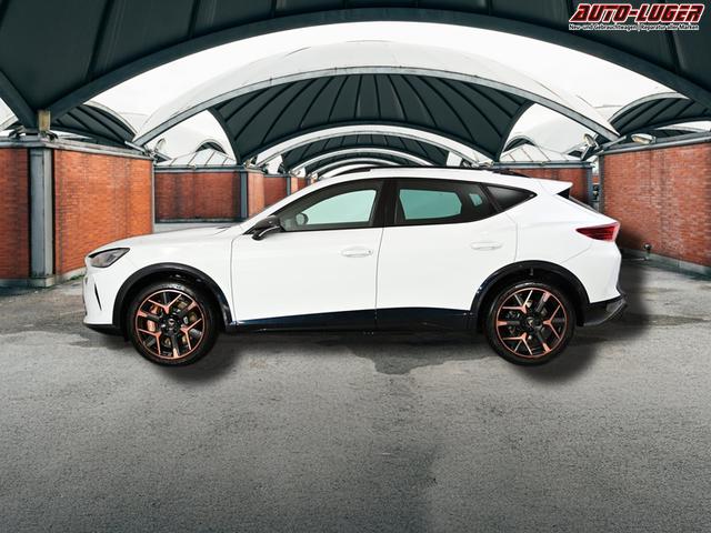 Cupra Formentor VZ 2.0 TSI 7-Gang-DSG 4Drive 