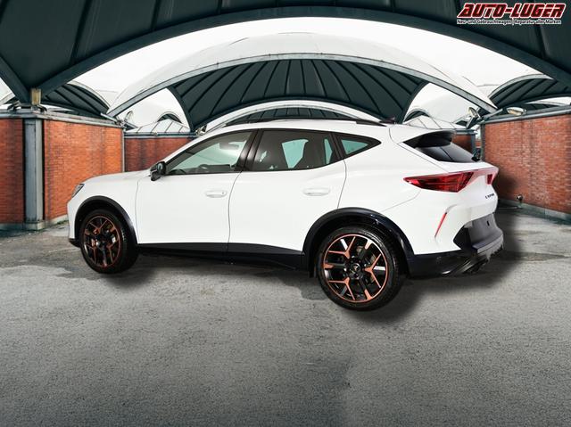 Cupra Formentor VZ 2.0 TSI 7-Gang-DSG 4Drive 