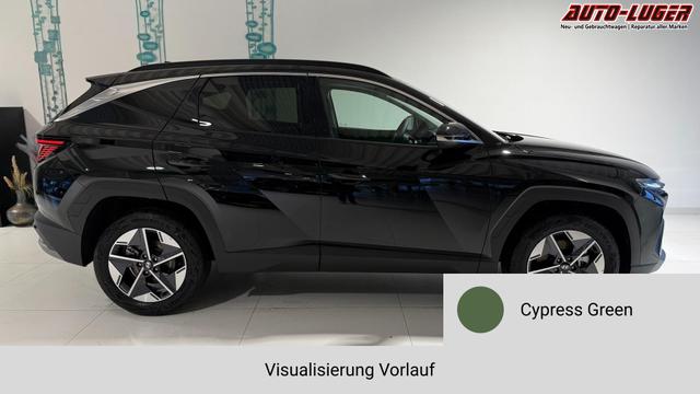 Tucson Cypress Green Vorlauf