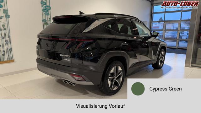 Tucson Cypress Green Vorlauf