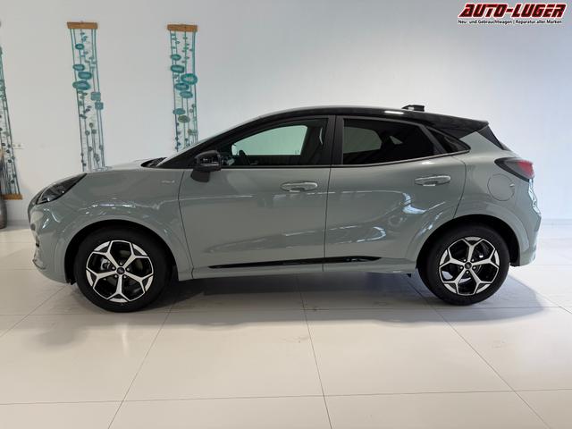 Ford Puma ST-Line Cactus Grau Dach Schwarz