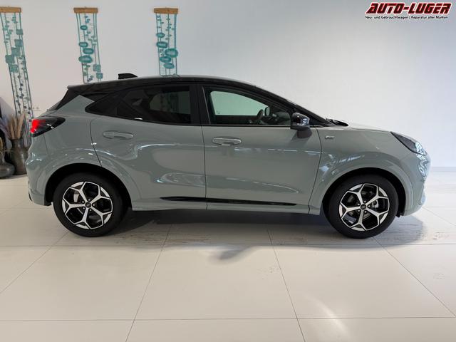 Ford Puma ST-Line Cactus Grau Dach Schwarz