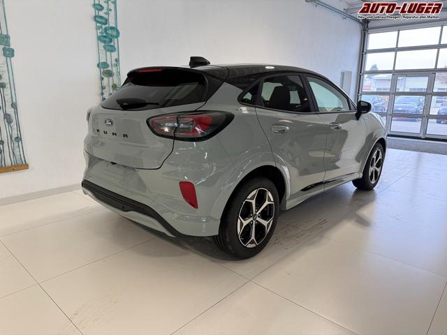 Ford Puma ST-Line Cactus Grau Dach Schwarz