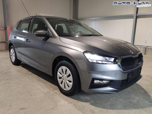 Skoda / Fabia / Grau / / / , Beispielbilder, ggf. teilweise mit Sonderausstattung