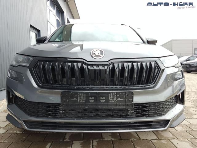 Skoda / Karoq / Grau / / / , Beispielbilder, ggf. teilweise mit Sonderausstattung