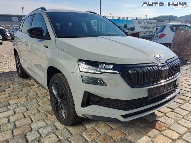 Skoda / Karoq / Grau / / / , Beispielbilder, ggf. teilweise mit Sonderausstattung