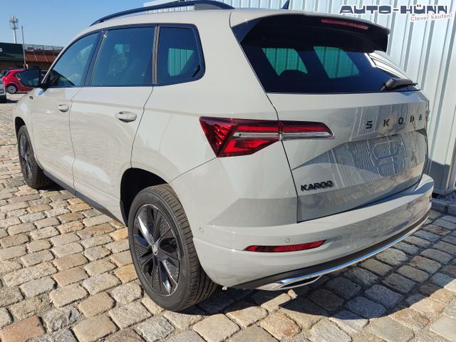 Skoda / Karoq / Grau / / / , Beispielbilder, ggf. teilweise mit Sonderausstattung