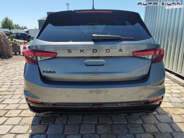 Skoda / Fabia / Grau / / / , Beispielbilder, ggf. teilweise mit Sonderausstattung