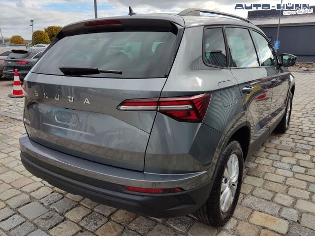 Skoda / Karoq / Grau / / / , Beispielbilder, ggf. teilweise mit Sonderausstattung