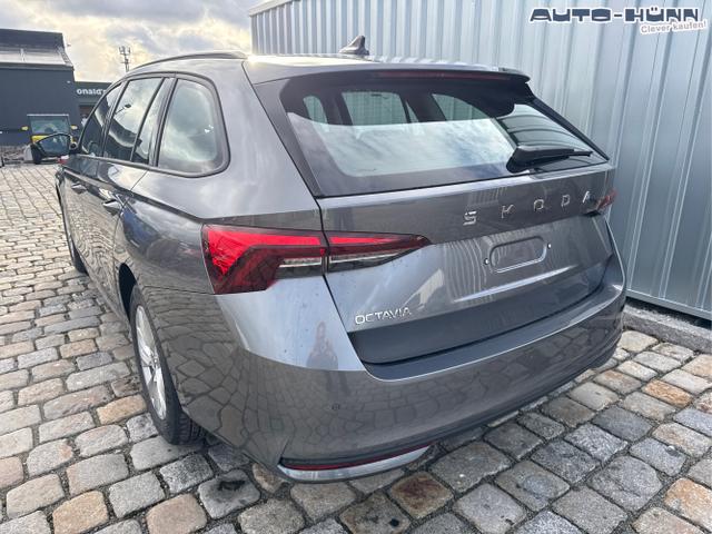 Skoda / Octavia Combi / Grau / / / , Beispielbilder, ggf. teilweise mit Sonderausstattung