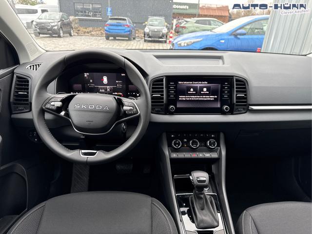 Skoda / Karoq / Grau / / / , Beispielbilder, ggf. teilweise mit Sonderausstattung