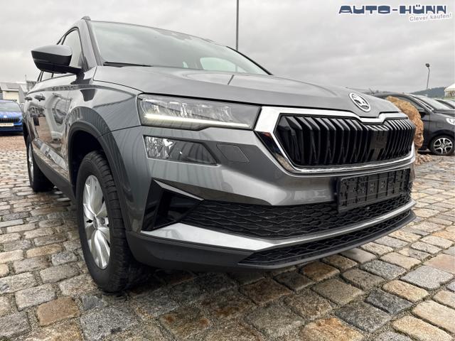 Skoda / Karoq / Grau / / / , Beispielbilder, ggf. teilweise mit Sonderausstattung