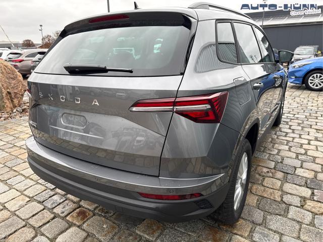 Skoda / Karoq / Grau / / / , Beispielbilder, ggf. teilweise mit Sonderausstattung