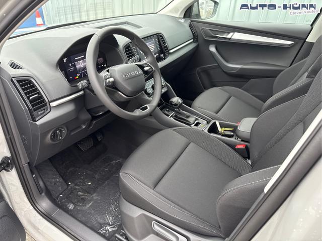 Skoda / Karoq / Grau / / / , Beispielbilder, ggf. teilweise mit Sonderausstattung