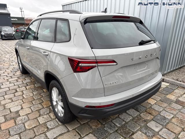 Skoda / Karoq / Grau / / / , Beispielbilder, ggf. teilweise mit Sonderausstattung