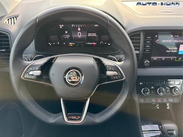 Skoda / Karoq / Blau / / / 