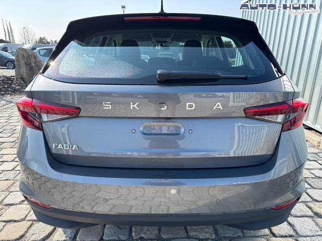 Skoda / Fabia / Grau / / / , Beispielbilder, ggf. teilweise mit Sonderausstattung
