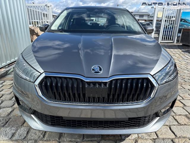 Skoda / Fabia / Grau / / / , Beispielbilder, ggf. teilweise mit Sonderausstattung